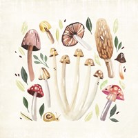 Fungi Field Trip II Fine Art Print