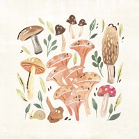 Fungi Field Trip IV Fine Art Print