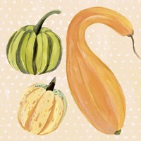 Decorative Gourd I Fine Art Print
