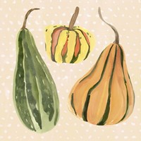 Decorative Gourd II Fine Art Print
