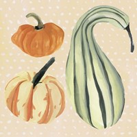 Decorative Gourd III Fine Art Print