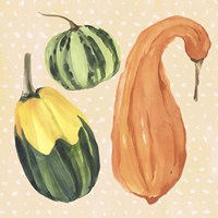 Decorative Gourd IV Fine Art Print