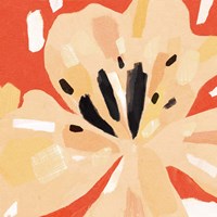 Boomin' Bloom II Fine Art Print