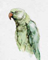 Bright Parrot Portrait I Fine Art Print