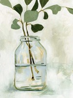 Eucalyptus Branch Still Life II Fine Art Print