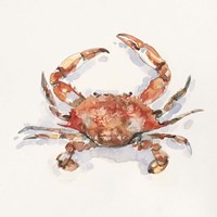 Crusty Crab I Fine Art Print