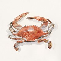 Crusty Crab II Fine Art Print