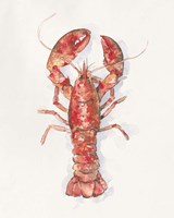Salty Lobster I Framed Print