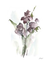 Plum Bouquet I Framed Print