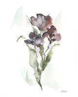 Plum Bouquet II Fine Art Print