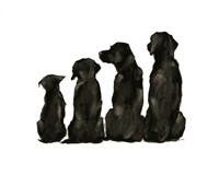 Line Up I Fine Art Print