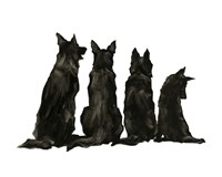 Line Up II Fine Art Print