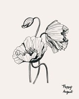 Annual Flowers VIII Fine Art Print