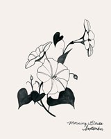 Annual Flowers IX Fine Art Print