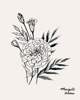 Annual Flowers X Fine Art Print