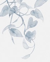 Pothos Penumbra I Framed Print