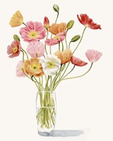 Wiry Poppies I Framed Print