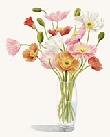 Wiry Poppies II Framed Print