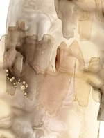 Gilded Movement I Framed Print