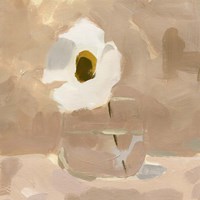 Canary Island Marguerite II Fine Art Print