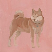 Shiba Inu I Framed Print