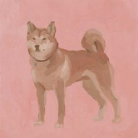 Shiba Inu II Fine Art Print