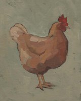 Egg Hen I Framed Print