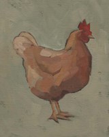 Egg Hen I Fine Art Print