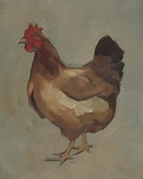 Egg Hen II Framed Print