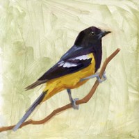 Backyard Birds I Fine Art Print