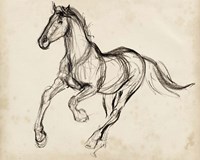 Gestural Apaloosa I Fine Art Print