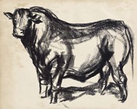 Black Angus II Fine Art Print