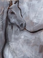 White Horse Contour I Framed Print