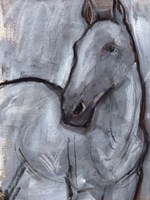 White Horse Contour II Fine Art Print