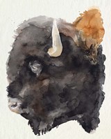 Watercolor Bison Profile II Fine Art Print