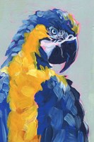 Pop Art Parrot II Framed Print