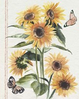Autumn Sunflowers I Framed Print
