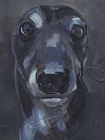 Good Boy II Fine Art Print