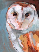 Optic Owl II Framed Print