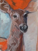 Doe Eyes I Fine Art Print