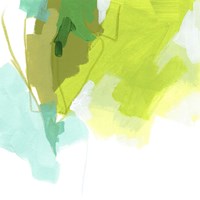 Seaglass Curio II Framed Print