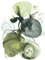 Orbital Lichen I Fine Art Print