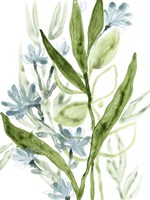 Meadow Blues I Framed Print