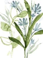 Meadow Blues III Framed Print