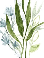 Meadow Blues IV Framed Print