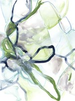 Hive Cycle I Framed Print