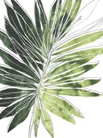 Expressive Palm I Framed Print