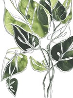 Expressive Palm II Framed Print