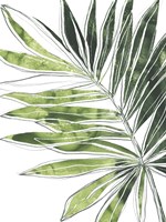 Expressive Palm IV Framed Print