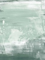 Coastal Patina II Fine Art Print